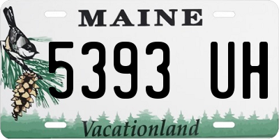 ME license plate 5393UH