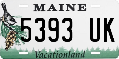 ME license plate 5393UK
