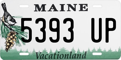 ME license plate 5393UP