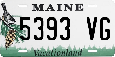 ME license plate 5393VG