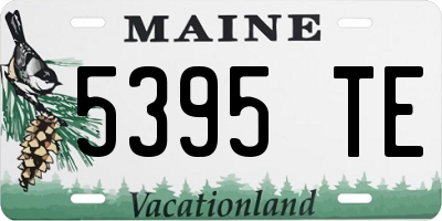 ME license plate 5395TE