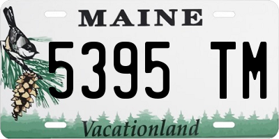 ME license plate 5395TM