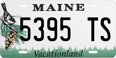 ME license plate 5395TS