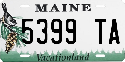 ME license plate 5399TA