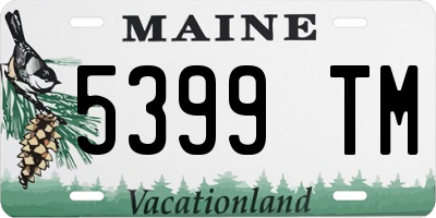 ME license plate 5399TM