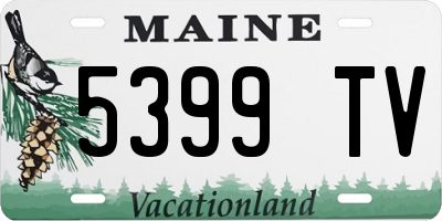 ME license plate 5399TV