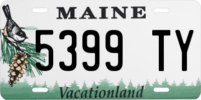 ME license plate 5399TY