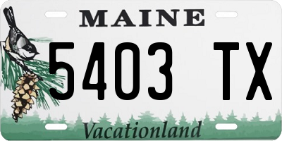 ME license plate 5403TX