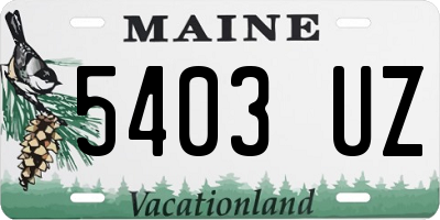 ME license plate 5403UZ