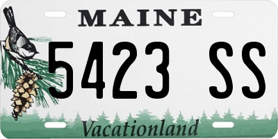 ME license plate 5423SS