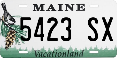 ME license plate 5423SX