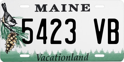 ME license plate 5423VB