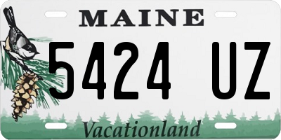 ME license plate 5424UZ