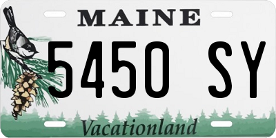 ME license plate 5450SY