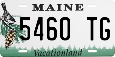 ME license plate 5460TG