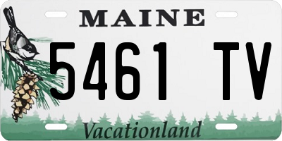 ME license plate 5461TV