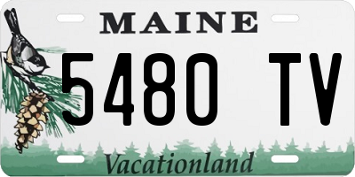 ME license plate 5480TV