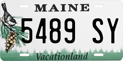 ME license plate 5489SY