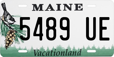 ME license plate 5489UE