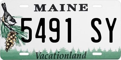 ME license plate 5491SY