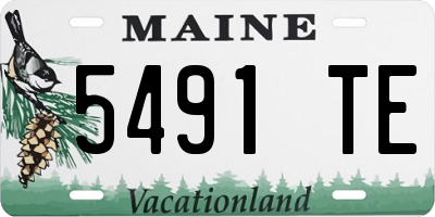 ME license plate 5491TE