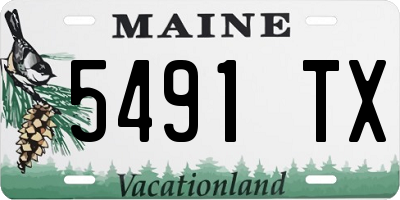 ME license plate 5491TX