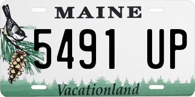 ME license plate 5491UP