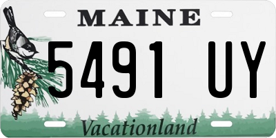 ME license plate 5491UY