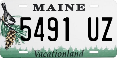 ME license plate 5491UZ