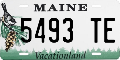 ME license plate 5493TE