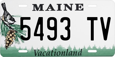 ME license plate 5493TV