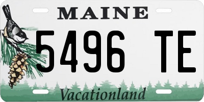 ME license plate 5496TE