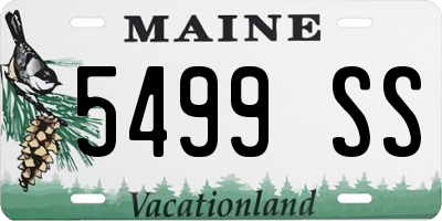 ME license plate 5499SS