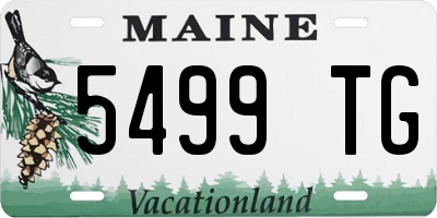 ME license plate 5499TG