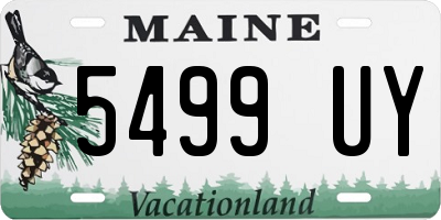 ME license plate 5499UY