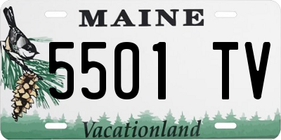 ME license plate 5501TV