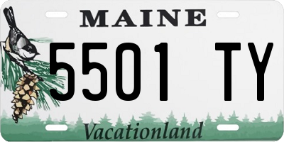 ME license plate 5501TY