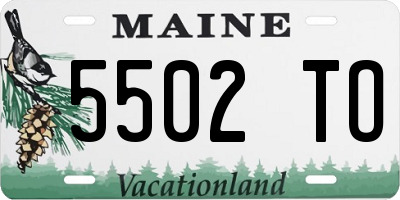 ME license plate 5502TO