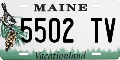 ME license plate 5502TV