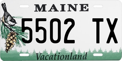 ME license plate 5502TX