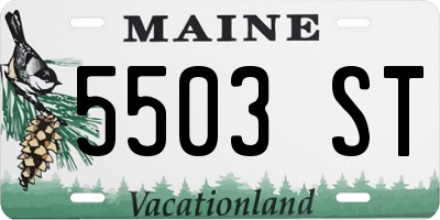 ME license plate 5503ST