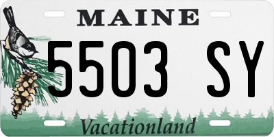 ME license plate 5503SY
