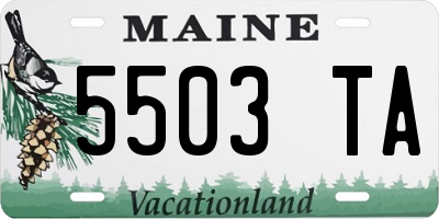 ME license plate 5503TA