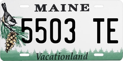 ME license plate 5503TE