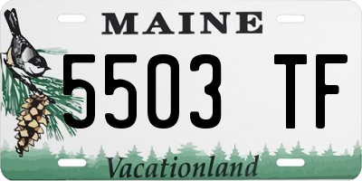 ME license plate 5503TF