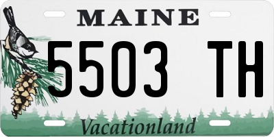 ME license plate 5503TH