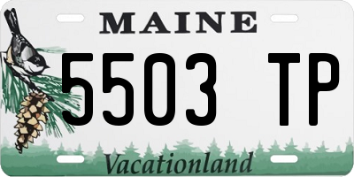 ME license plate 5503TP