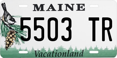 ME license plate 5503TR