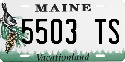 ME license plate 5503TS