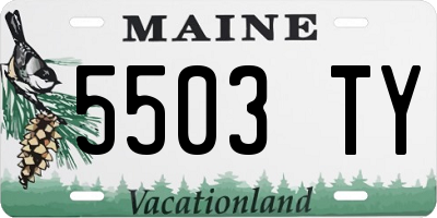 ME license plate 5503TY